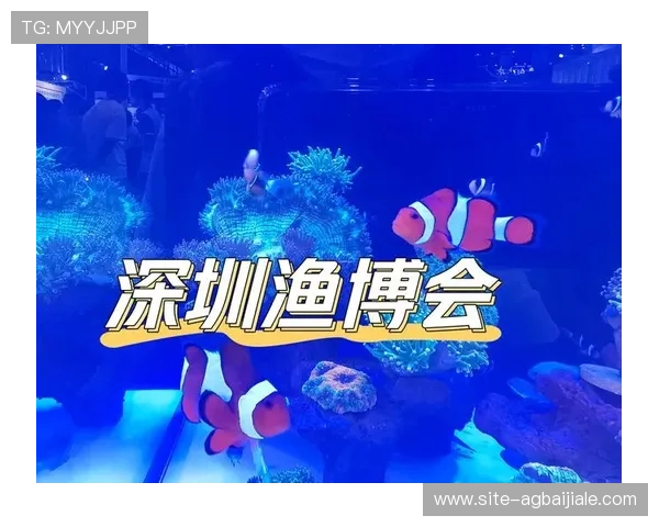 博鱼真人优惠活动丰富多样，为玩家创造更多实惠福利与惊喜