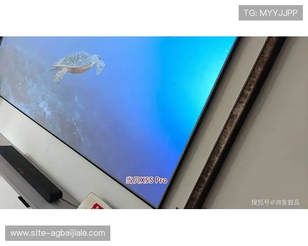 畅玩真人视讯电脑版官网平台,体验逼真互动带来的极致刺激